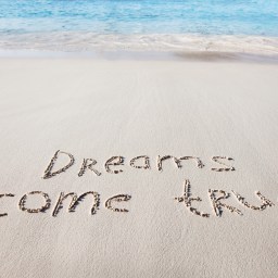 9 Wege In Ein Neues Leben