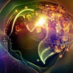 Meditation-Info-Week – Part II – Meditation, Geist und Performance